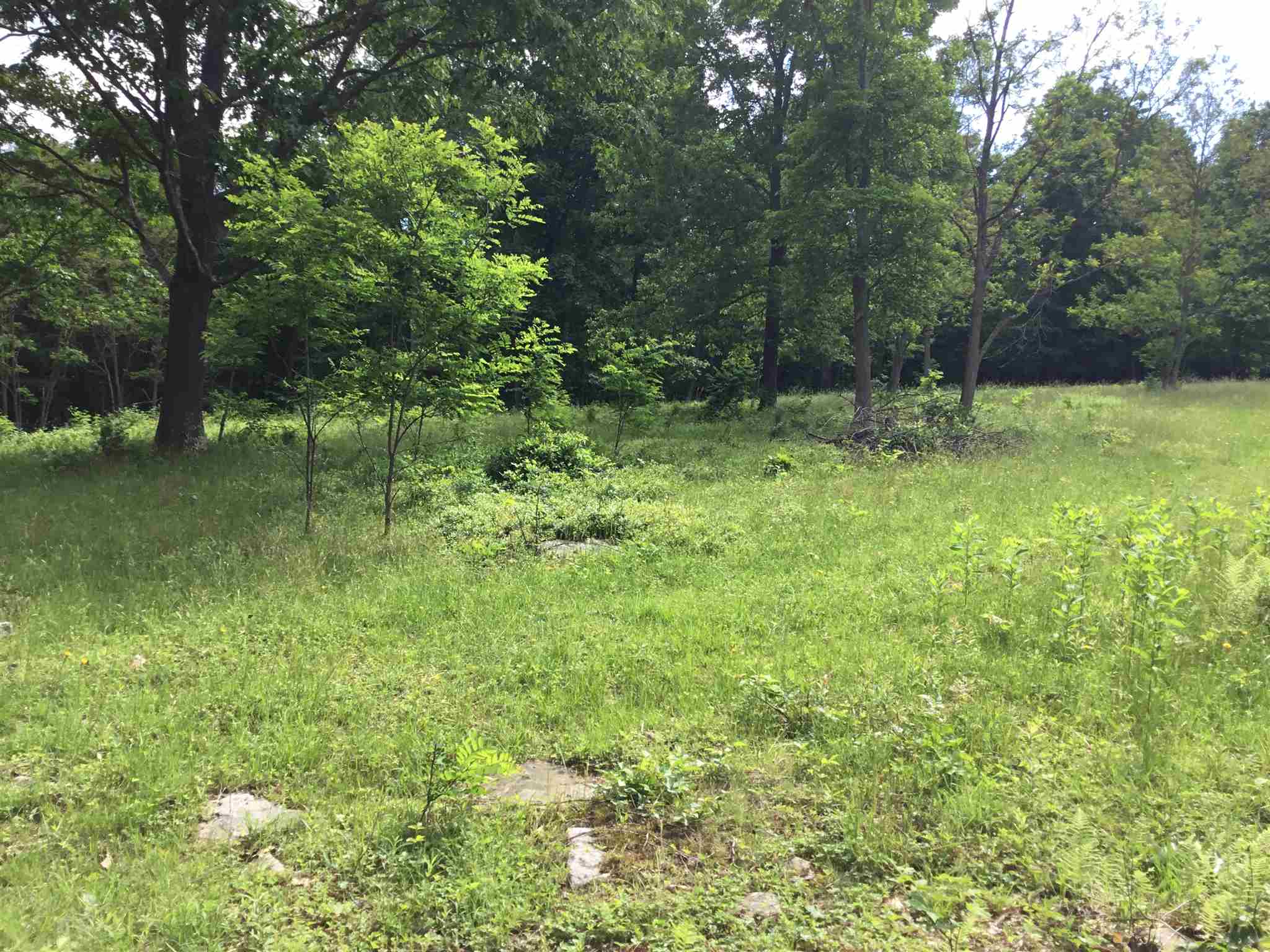 7624 Snowy Mountain Road Circleville, WV 26804 - Photo 12 of 17 a view of outdoor space and yard