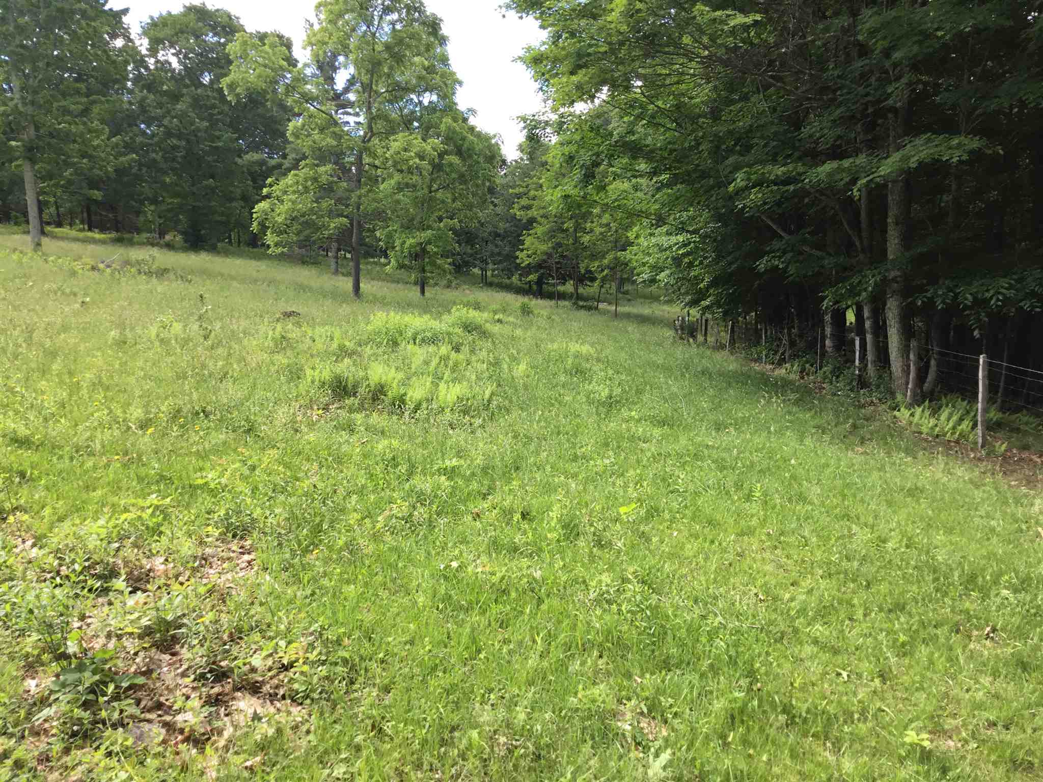 7624 Snowy Mountain Road Circleville, WV 26804 - Photo 13 of 17 a view of outdoor space and yard
