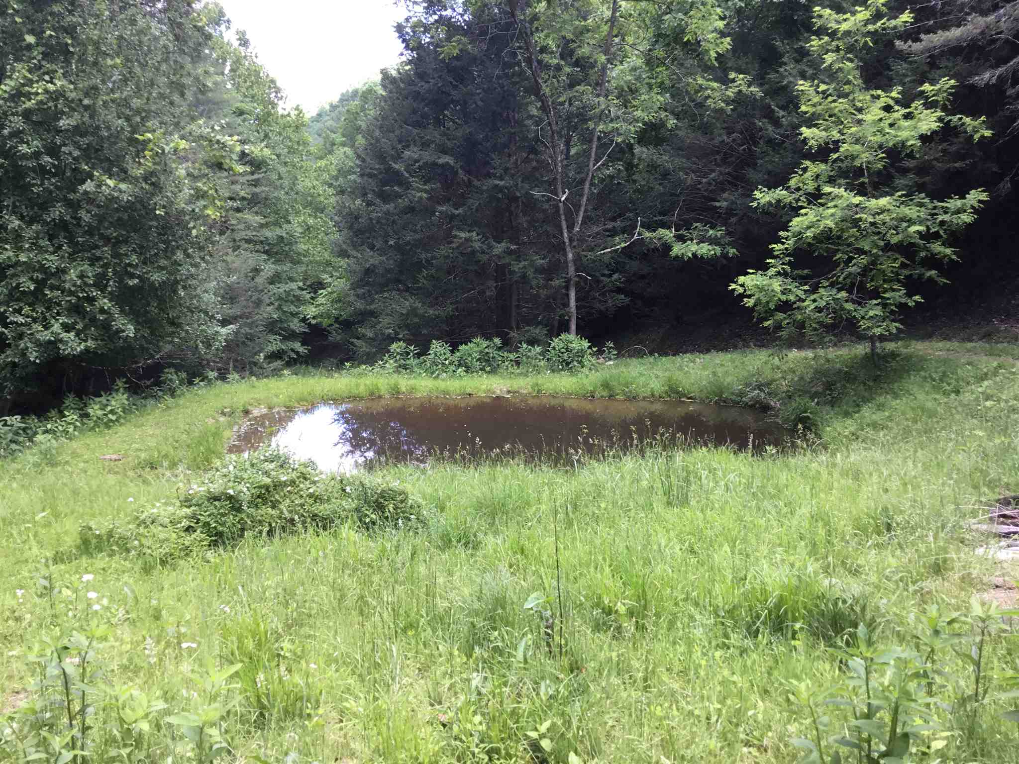 7624 Snowy Mountain Road Circleville, WV 26804 - Photo 2 of 17 a view of a garden with a tree