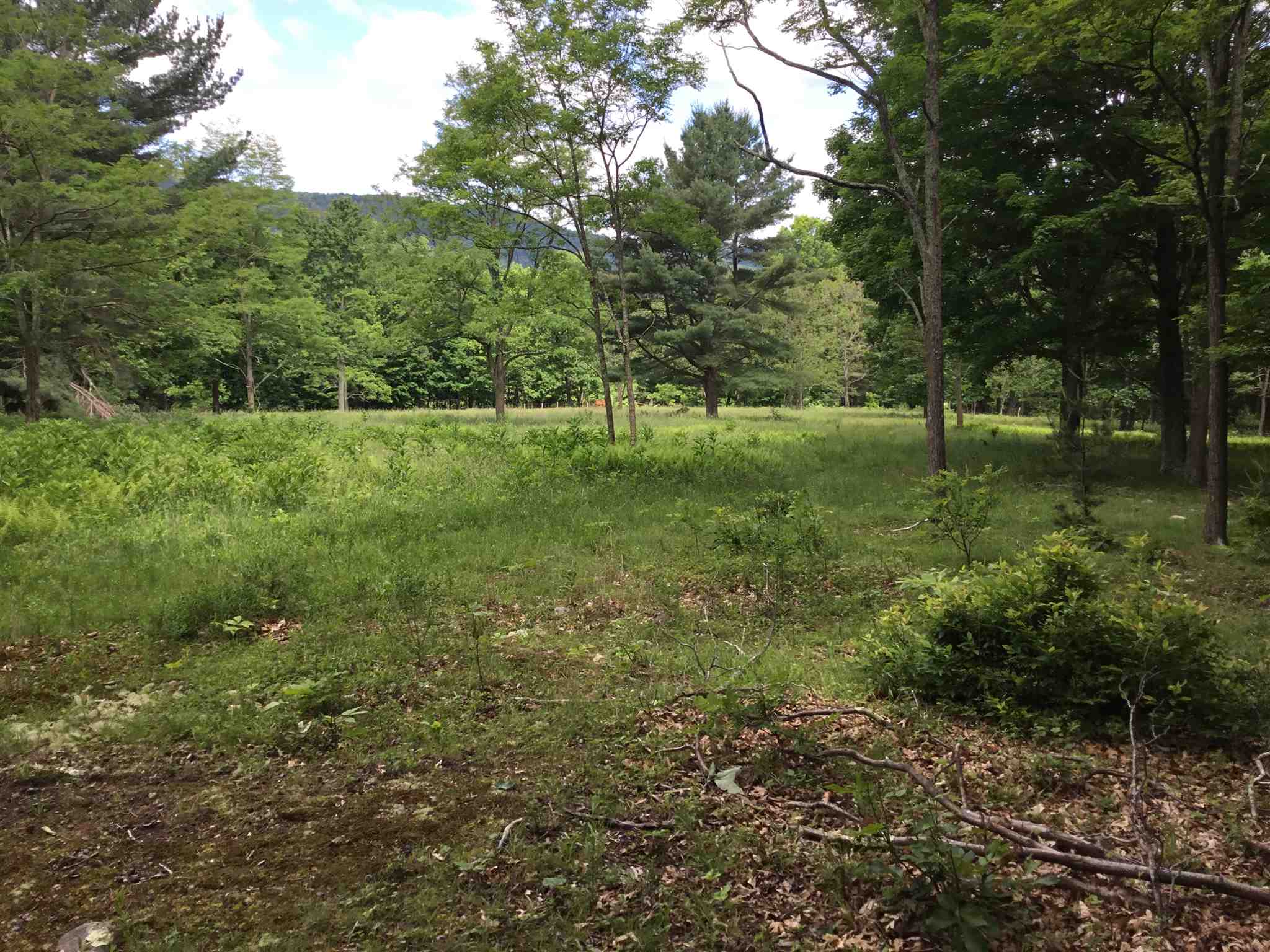 7624 Snowy Mountain Road Circleville, WV 26804 - Photo 8 of 17 a view of a garden with trees