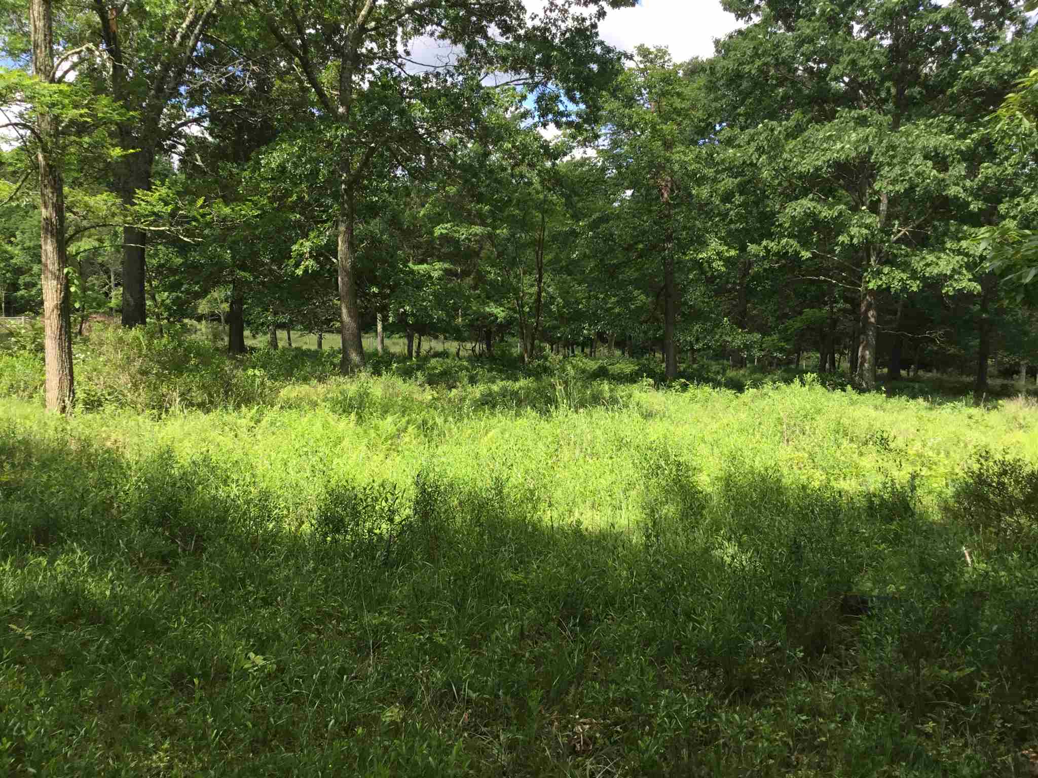 7624 Snowy Mountain Road Circleville, WV 26804 - Photo 9 of 17 a view of backyard with green space