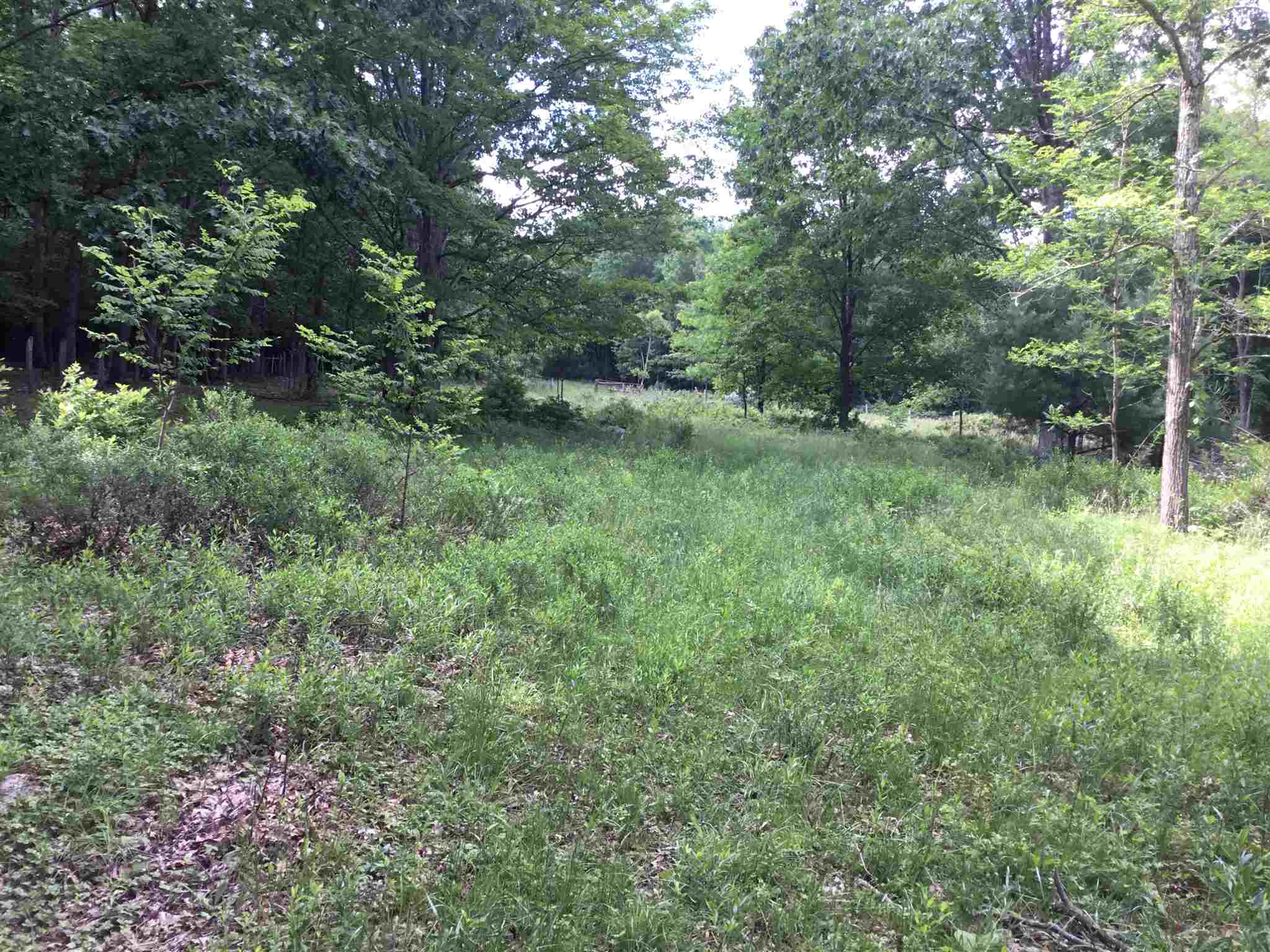 7624 Snowy Mountain Road Circleville, WV 26804 - Photo 10 of 17 a view of a lush green forest