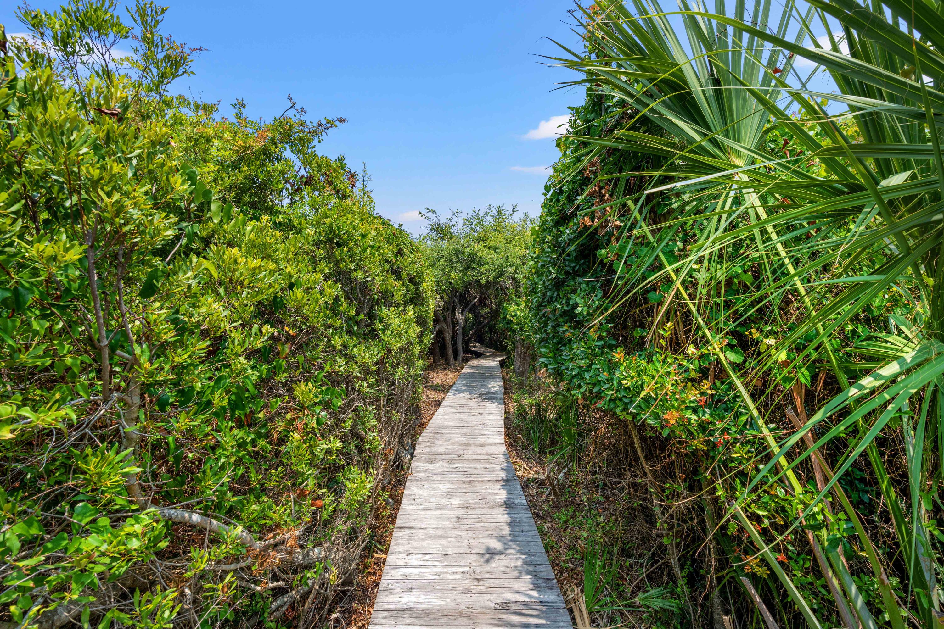 43 Surfsong Road Kiawah Island, SC 29455 - Photo 108 of 137 DEK00007