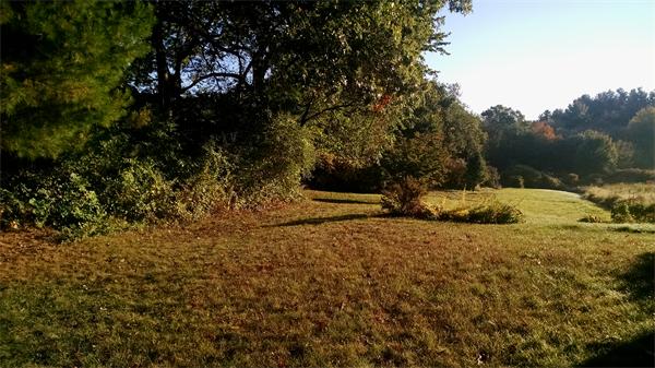 9 Spring Street Franklin, MA 02038 - Photo 14 of 15