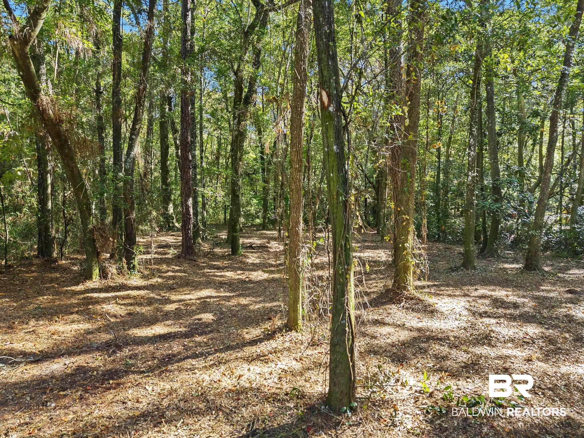 0 Wharf Street Daphne, AL 36526 - Photo 6 of 21