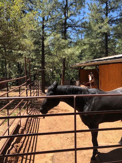 7959 Ralls Drive Strawberry, AZ 85544 - Photo 26 of 65 IMG_2693