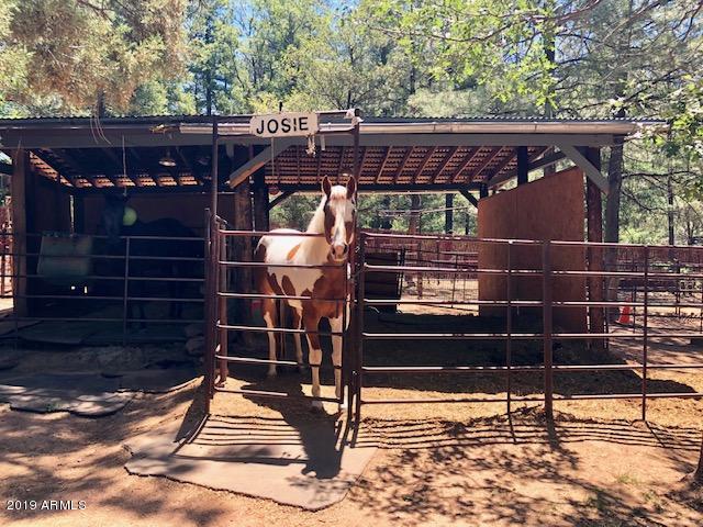 7959 Ralls Drive Strawberry, AZ 85544 - Photo 32 of 65 IMG_2682
