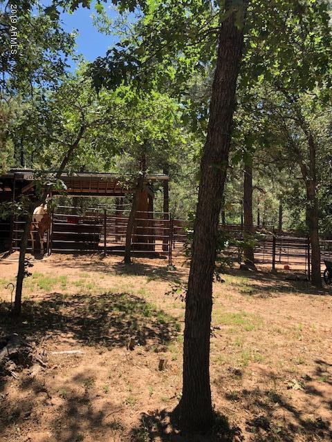 7959 Ralls Drive Strawberry, AZ 85544 - Photo 33 of 65 IMG_2681