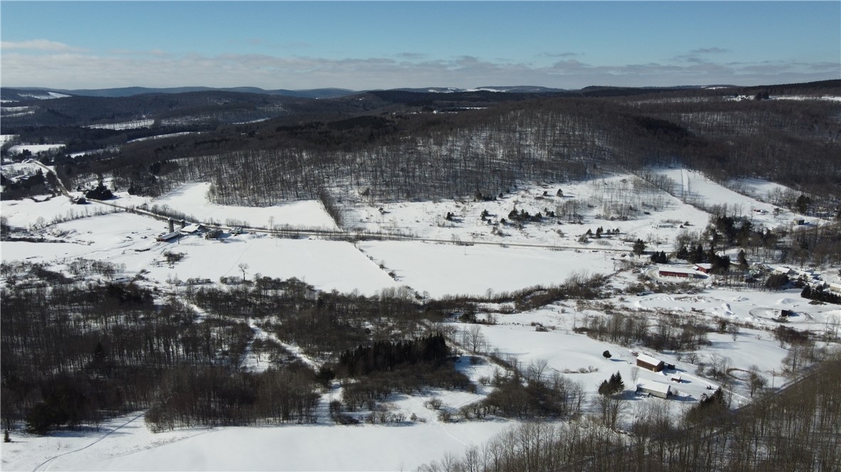 Mereness Road Worcester, NY 12197 - Photo 11 of 12