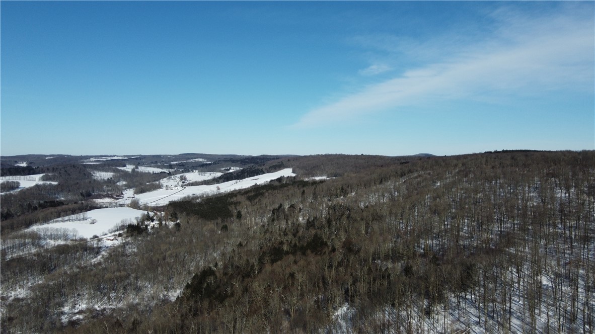 Mereness Road Worcester, NY 12197 - Photo 12 of 12