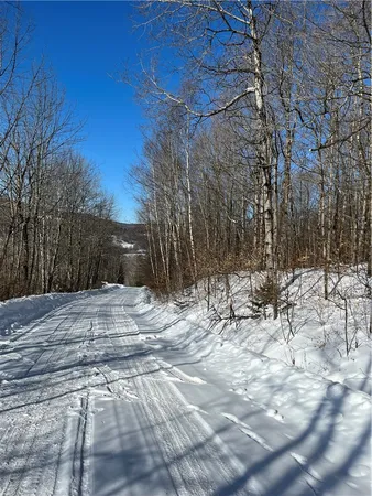 $45,000 | Mereness Road, Worcester, NY 12197