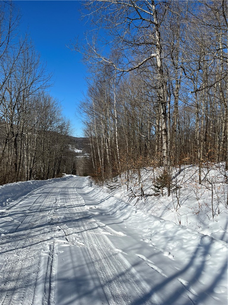 Mereness Road Worcester, NY 12197 - Photo 4 of 12
