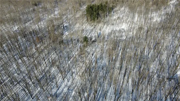 $45,000 | Mereness Road, Worcester, NY 12197