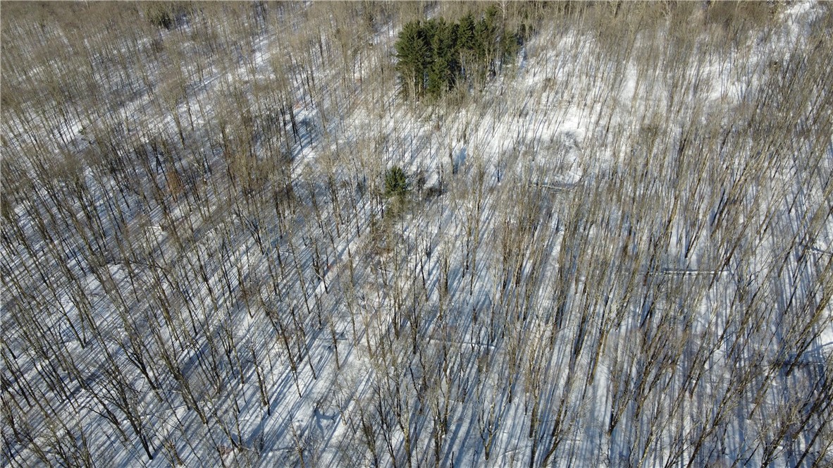 Mereness Road Worcester, NY 12197 - Photo 6 of 12