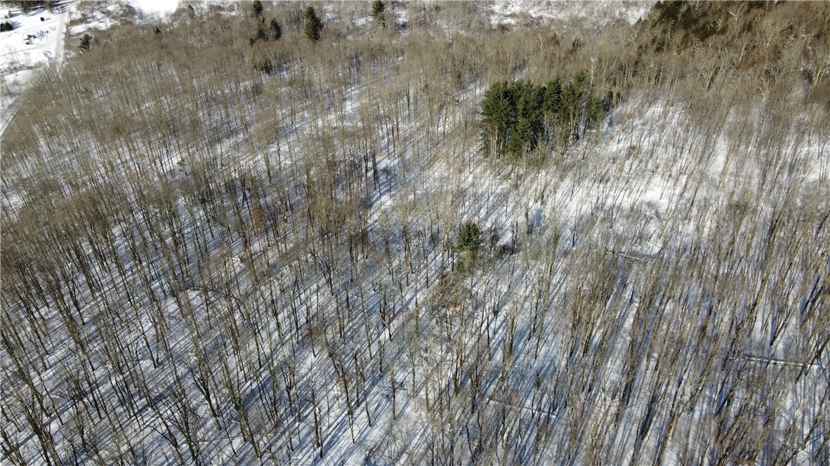 Mereness Road Worcester, NY 12197 - Photo 7 of 12