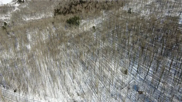 $45,000 | Mereness Road, Worcester, NY 12197