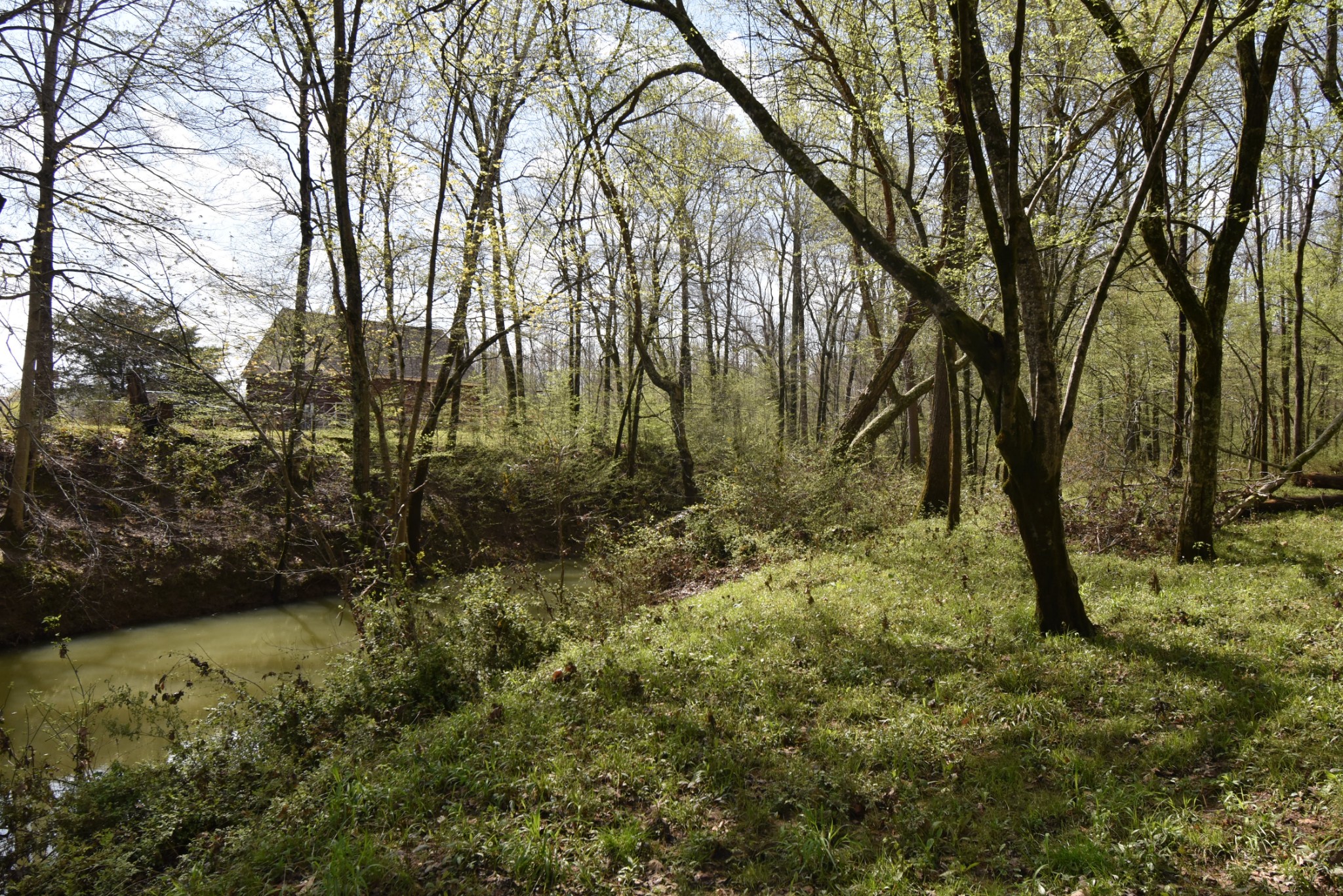 802 Buffalo Bottom Road Linden, TN 37096 - Photo 22 of 31 Gallery Image 22