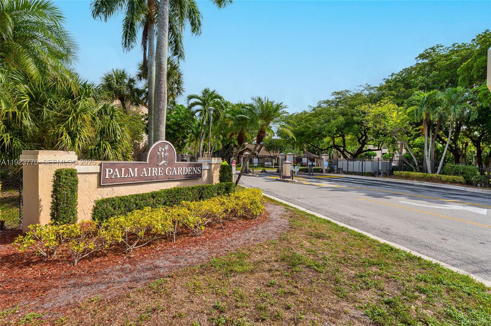 a view of a garden with palm trees