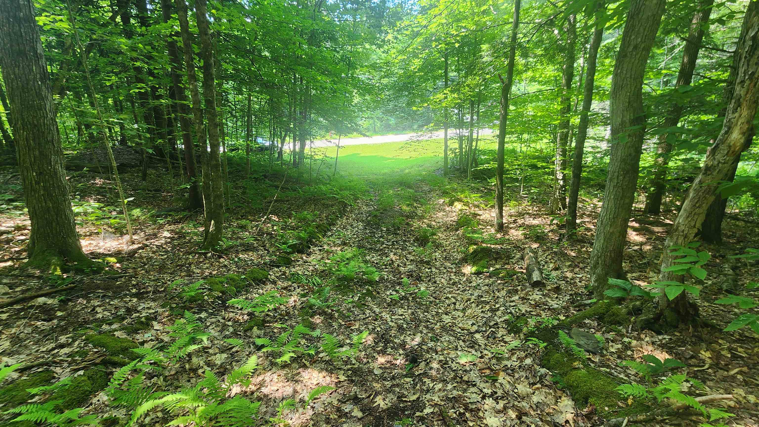 1372 Potash Brook Road Chester, VT 05143 - Photo 18 of 20