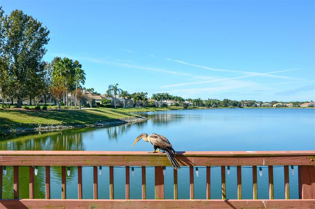 6716 Spring Moss Place Lakewood Ranch, FL 34202 - Photo 46 of 52