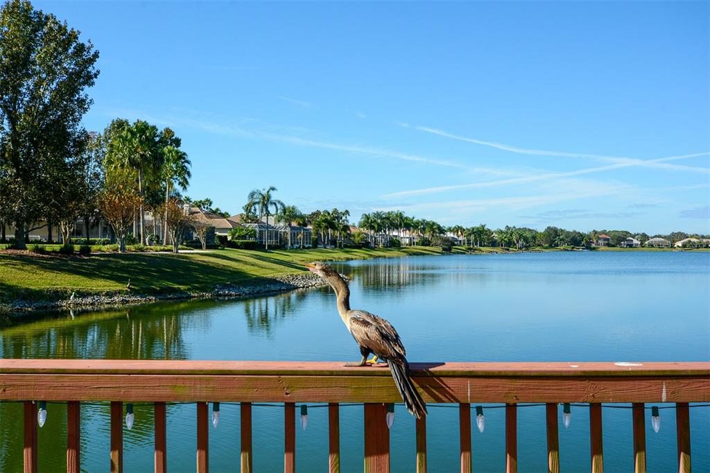 6716 Spring Moss Place Lakewood Ranch, FL 34202 - Photo 47 of 52