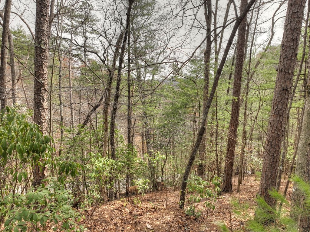 308 Lakota Trail Blue Ridge, GA 30513 - Photo 8 of 10