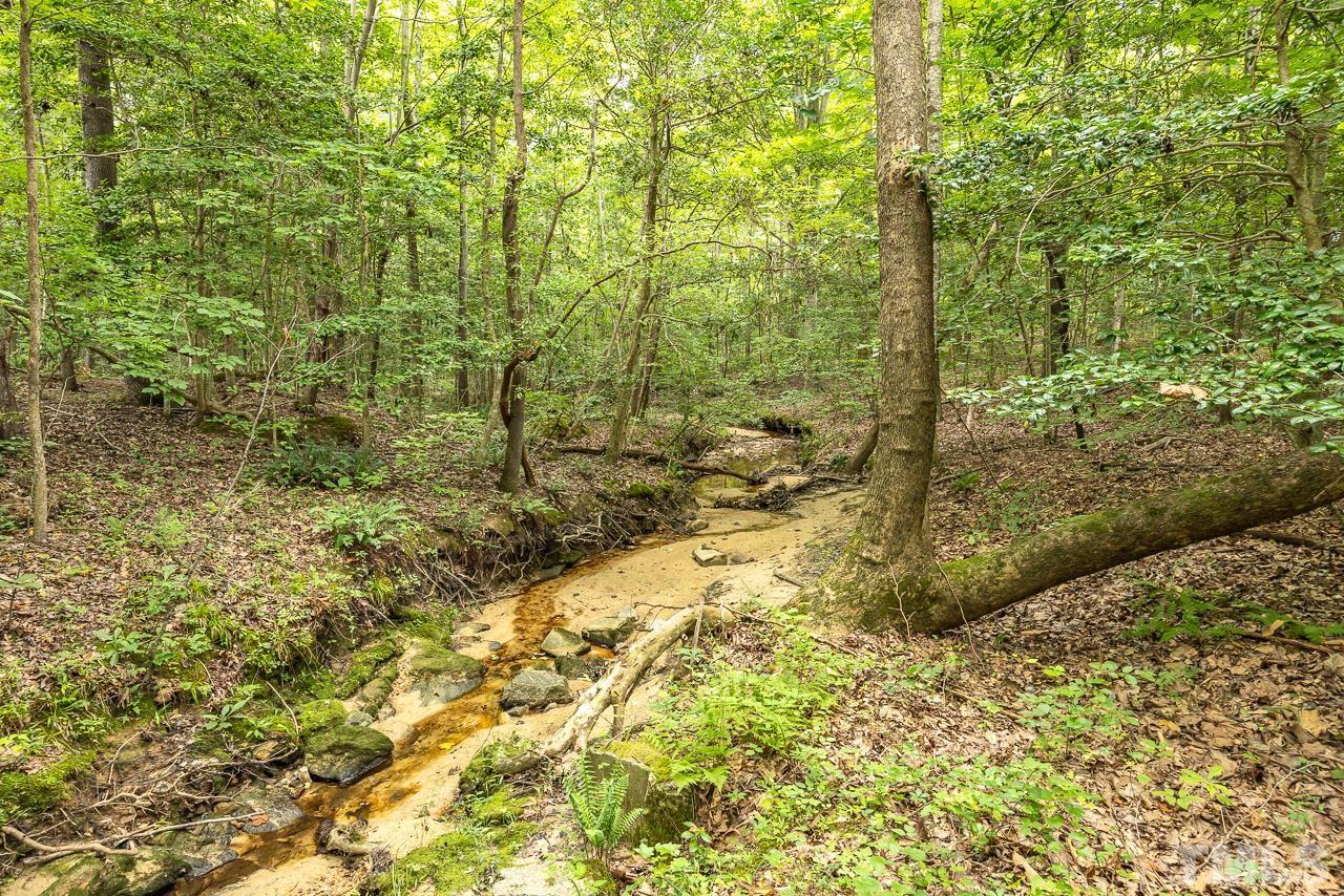 1008 Windstar Way Willow Spring, NC 27592 - Photo 38 of 51 a view of a yard with plants and wooden fence