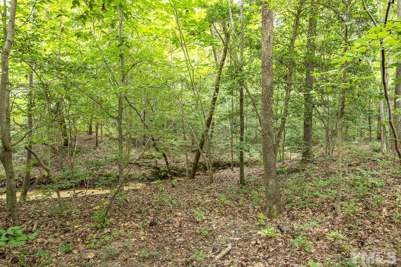 1008 Windstar Way Willow Spring, NC 27592 - Photo 39 of 51 a view of an outdoor space with lots of bushes