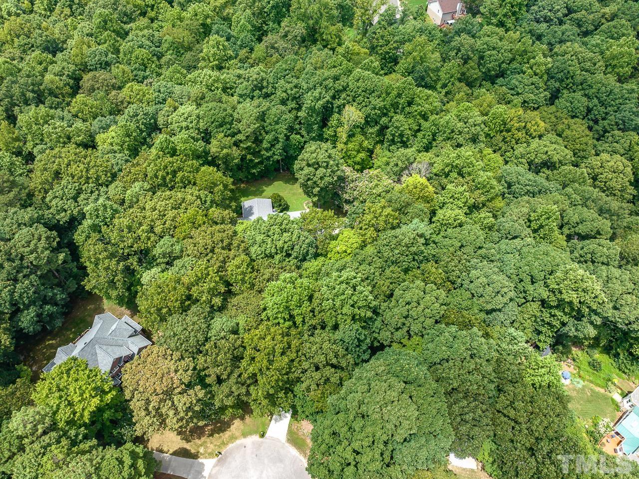 1008 Windstar Way Willow Spring, NC 27592 - Photo 43 of 51 a view of a lush green forest