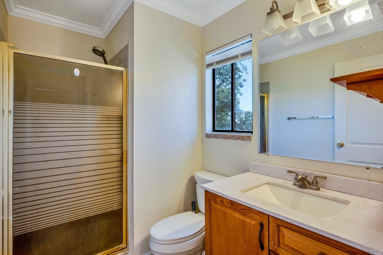 19511 Oak Haven Road Lower Lake, CA 95457 - Photo 11 of 39 a bathroom with a sink a toilet a mirror and vanity