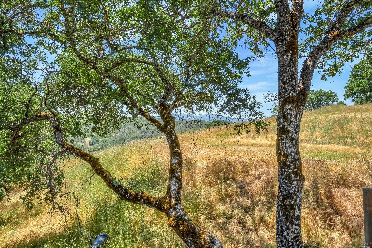 19511 Oak Haven Road Lower Lake, CA 95457 - Photo 14 of 39 a view of lake view