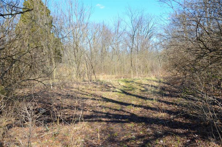 8762 Locust Grove Road Burlington, KY 41005 - Photo 9 of 24 Gallery Image 9