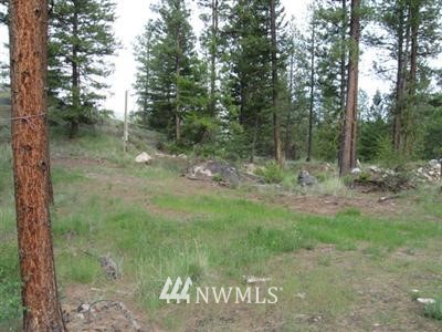 1-tbd Tamarack Road Tonasket, WA 98855 - Photo 1 of 1