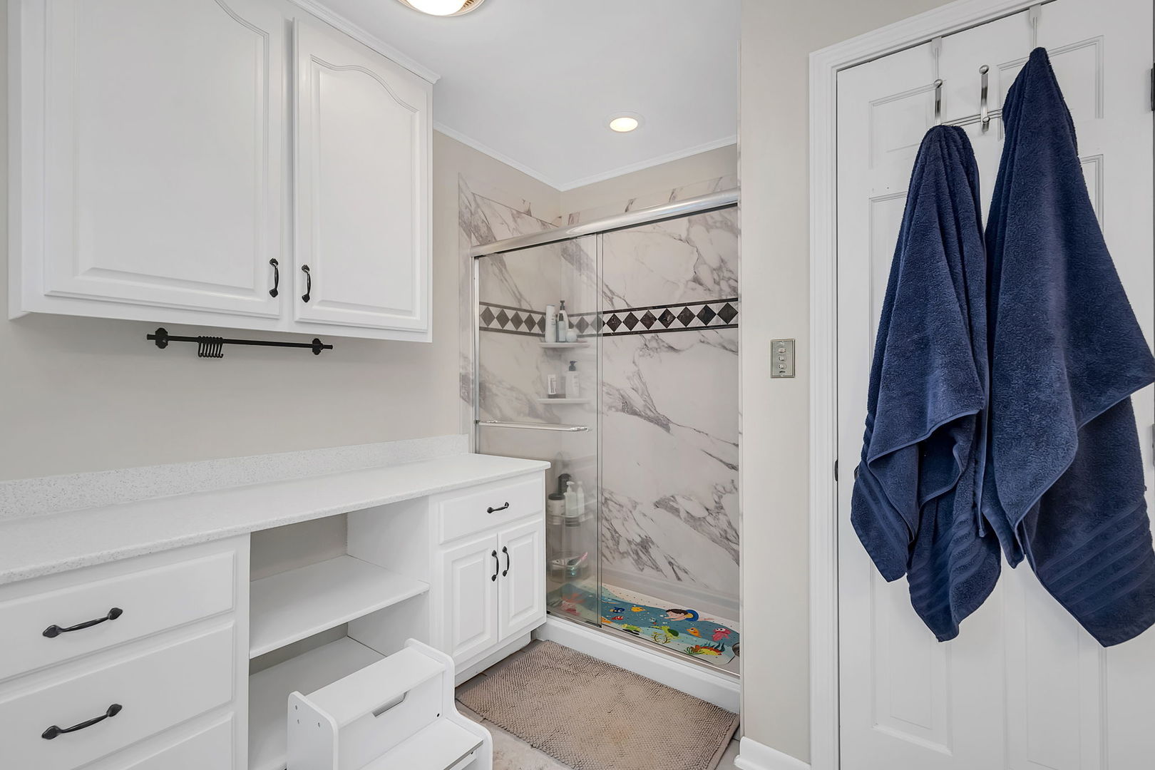 12478 McKanna Road Minooka, IL 60447 - Photo 24 of 46 Gallery Image 24