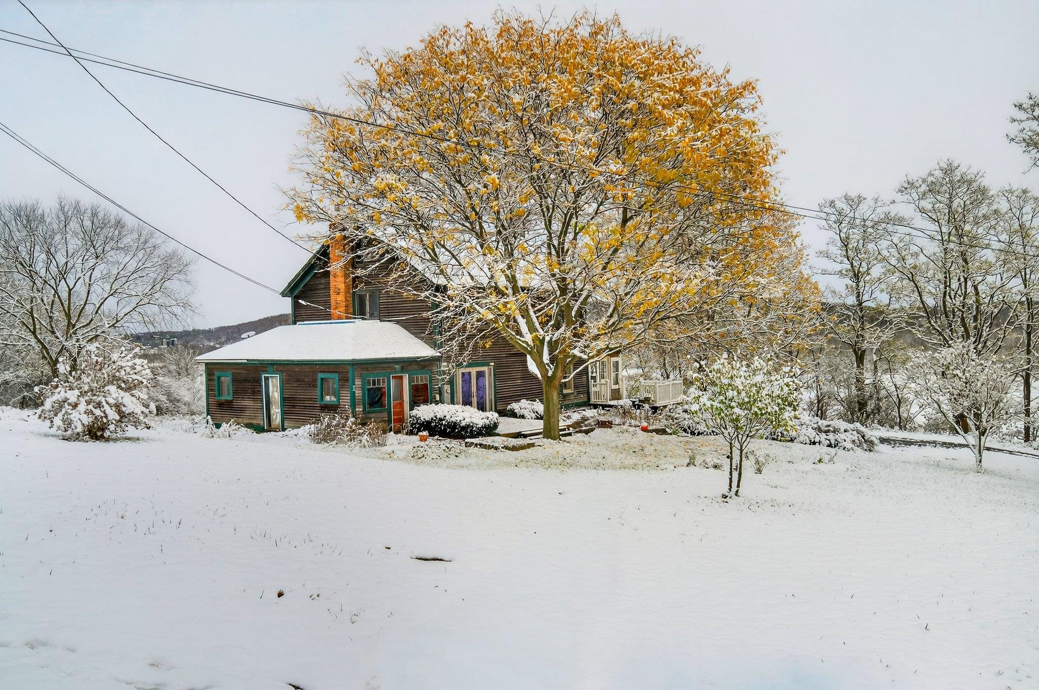 631 North Cream Hill Road Shoreham, VT 05770 - Photo 4 of 47