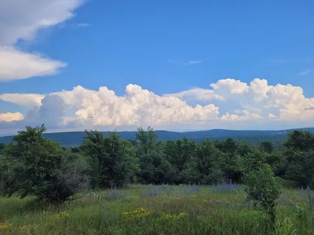 $440,000 | 631 North Cream Hill Road, Shoreham, VT 05770