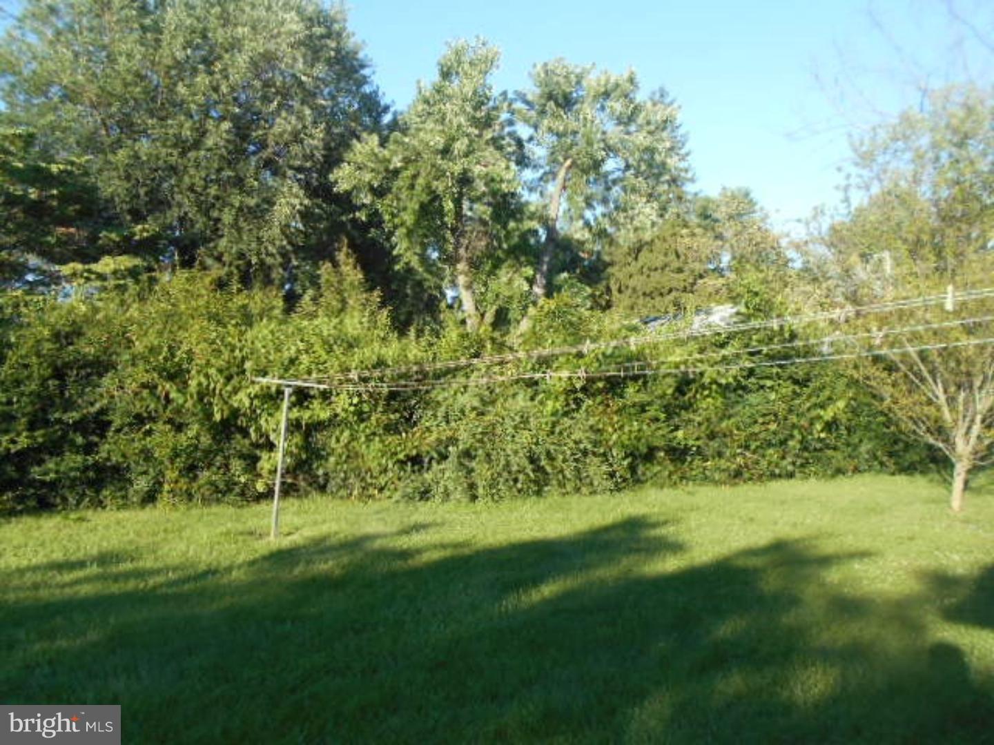 2074 Dutton Mill Road Newtown Square, PA 19073 - Photo 4 of 18 Back Yard
