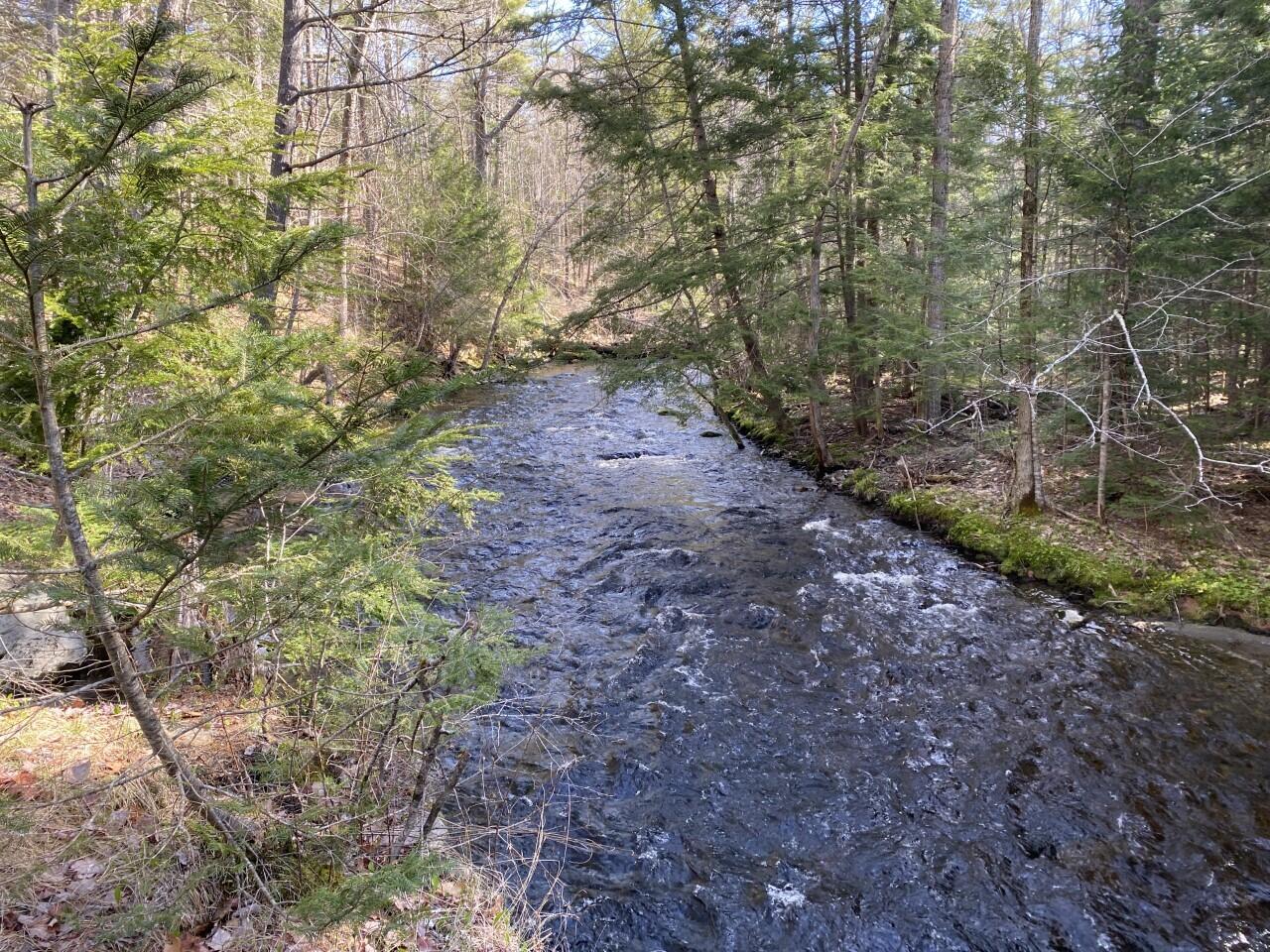 1544 Turner Ridge Road Palermo, ME 04354 - Photo 13 of 17 Sheepscot River looking North