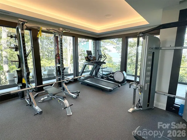 $10,750,000 | 515 Cloud Top Way, Arden, NC 28704