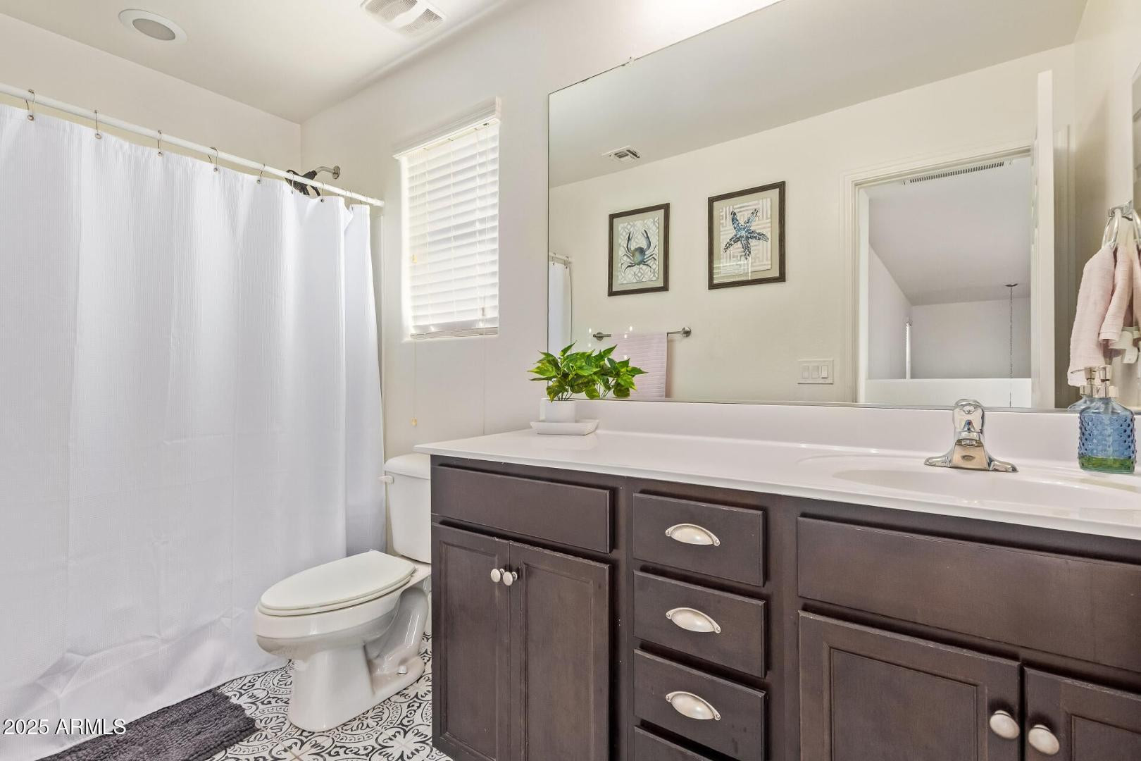 2756 East Hickory Street Gilbert, AZ 85298 - Photo 41 of 50 Photo #41