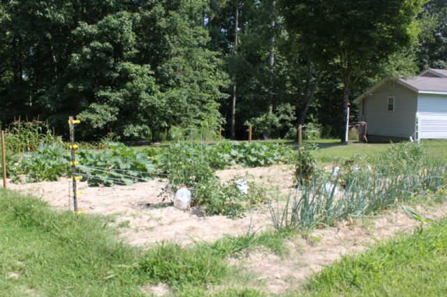 1101 Deer Ridge Road Kingston Springs, TN 37082 - Photo 14 of 20 Garden is ready for you to take over and enjoy fresh vegetables.