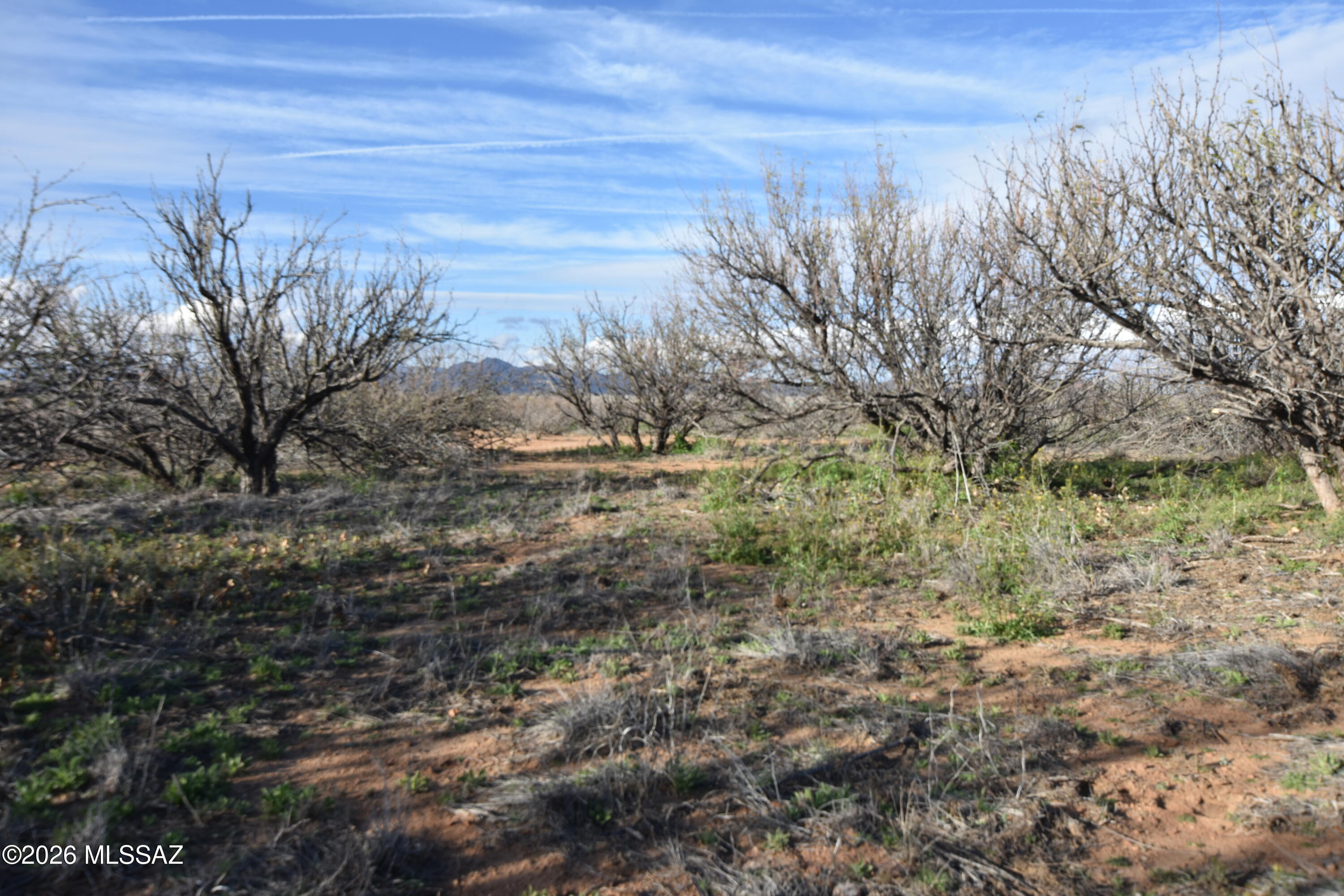 East Howling Wolf Road Willcox, AZ 85643 - Photo 12 of 49