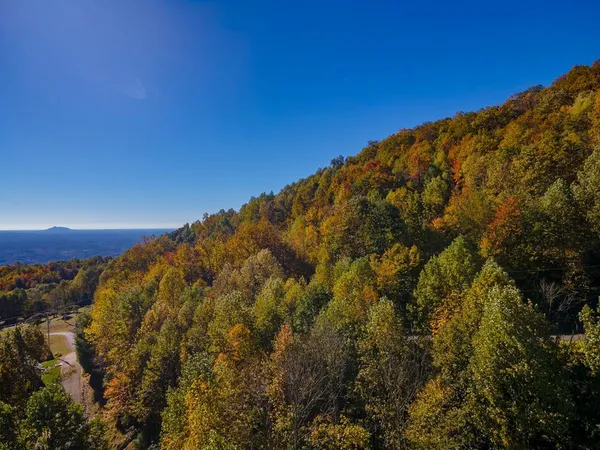 $30,000 | Lot 5 Starry Nights Drive, Unit 5, Cana, VA 24317