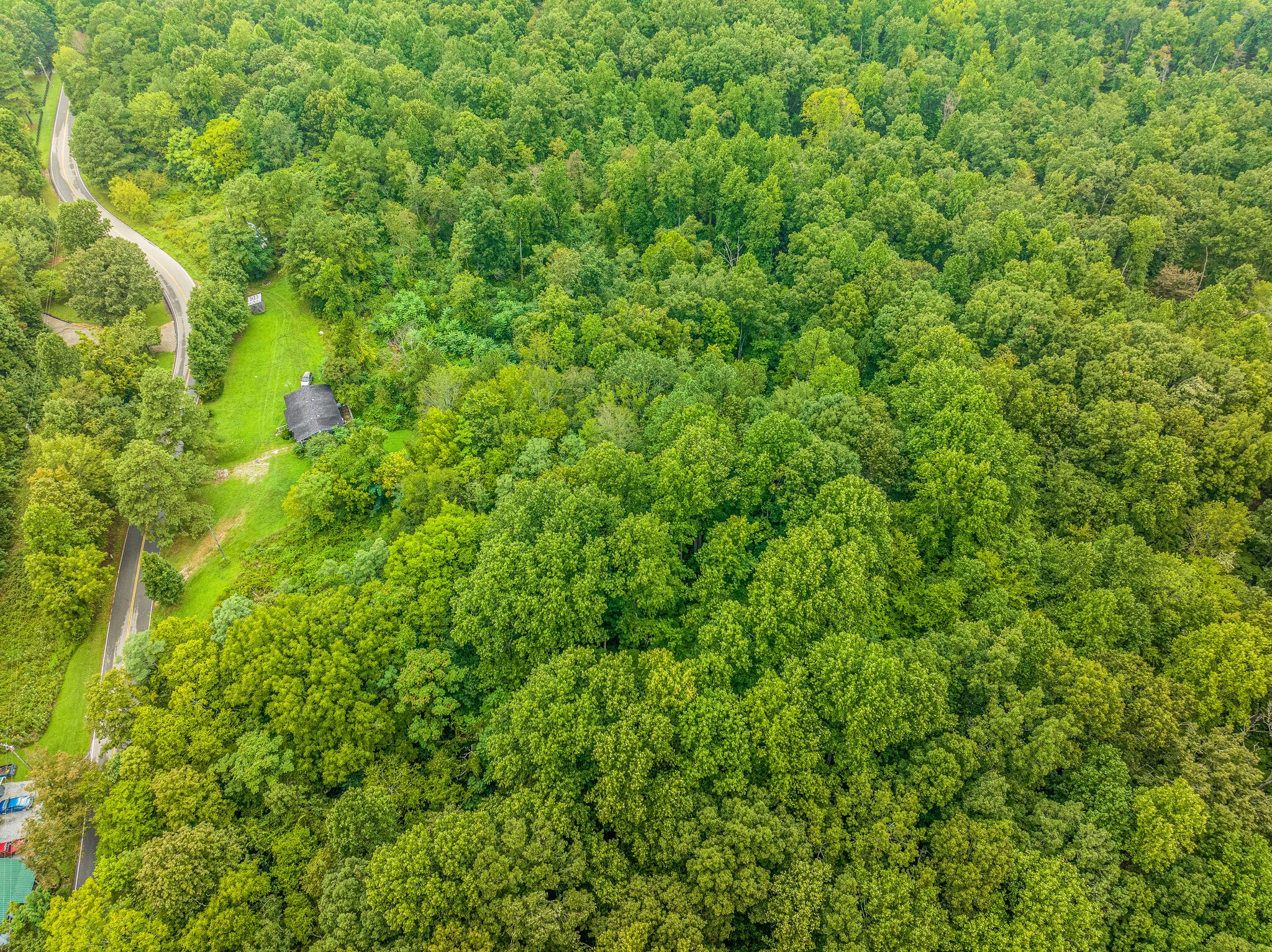 5680 Wilkins Branch Road Franklin, TN 37064 - Photo 6 of 7 Gallery Image 6