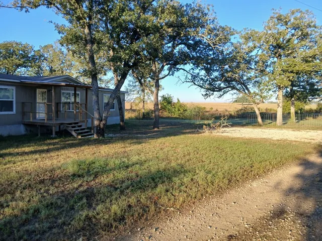 a view of a yard with wooden fence and a large tree