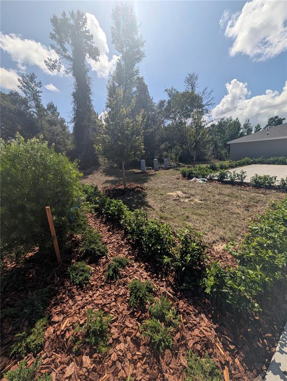 3266 Southwest 158th Loop Ocala, FL 34473 - Photo 3 of 12 Gallery Image 3