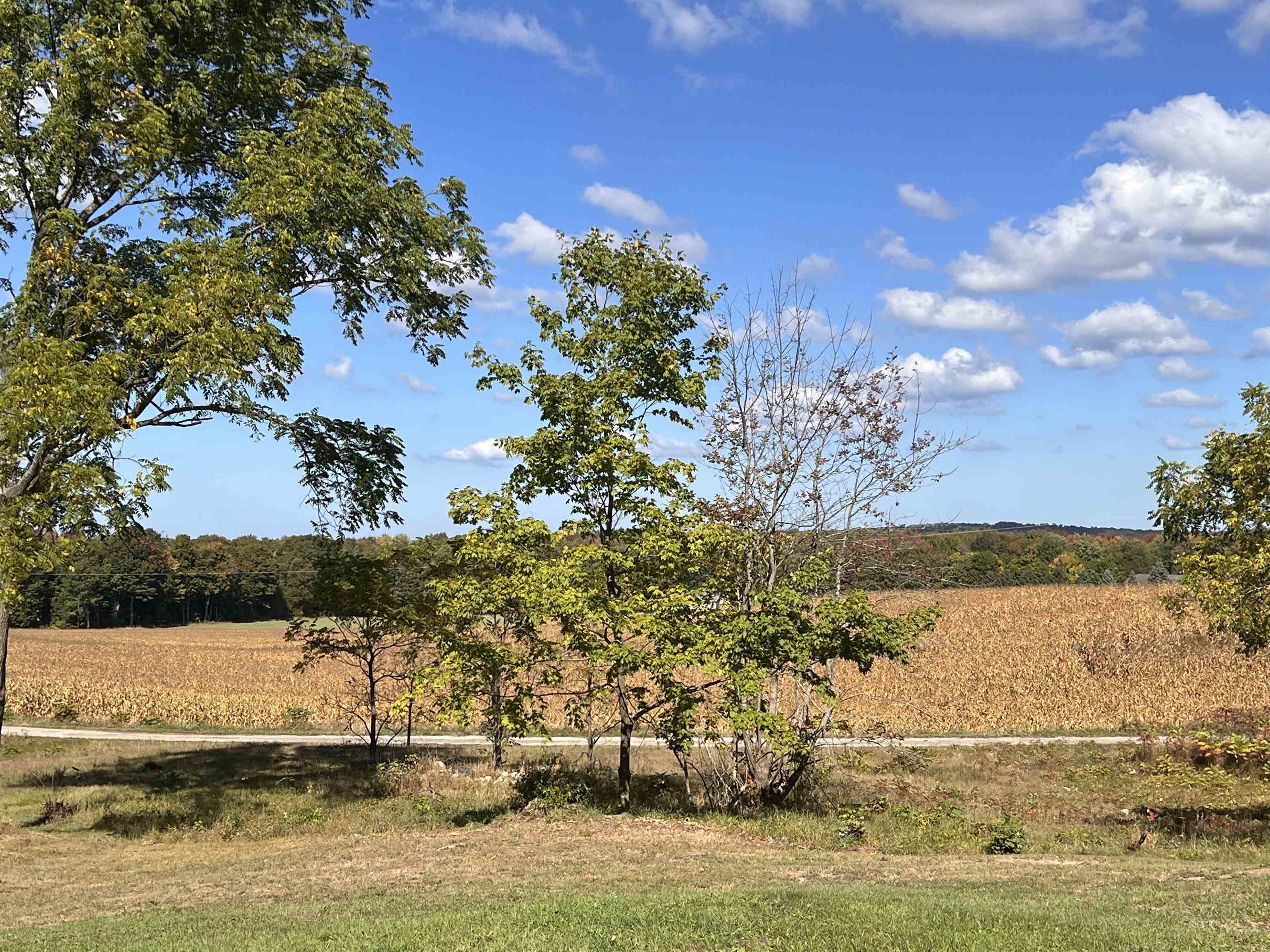 4462 Wallaker Road Benzonia, MI 49616 - Photo 35 of 45