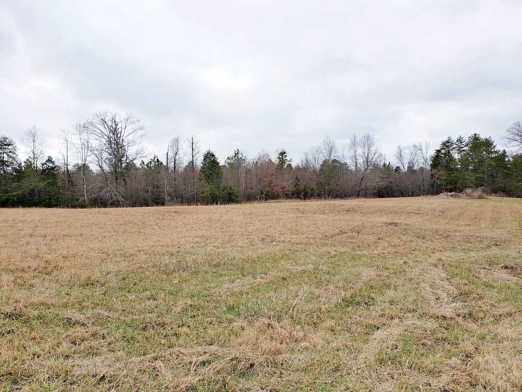 0 County Road 187 Decatur, TN 37322 - Photo 22 of 35 Gallery Image 22