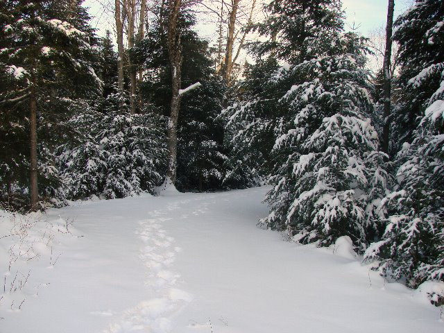 7597 State Rte 3 Vermontville, NY 12989 - Photo 2 of 6 Gallery Image 2