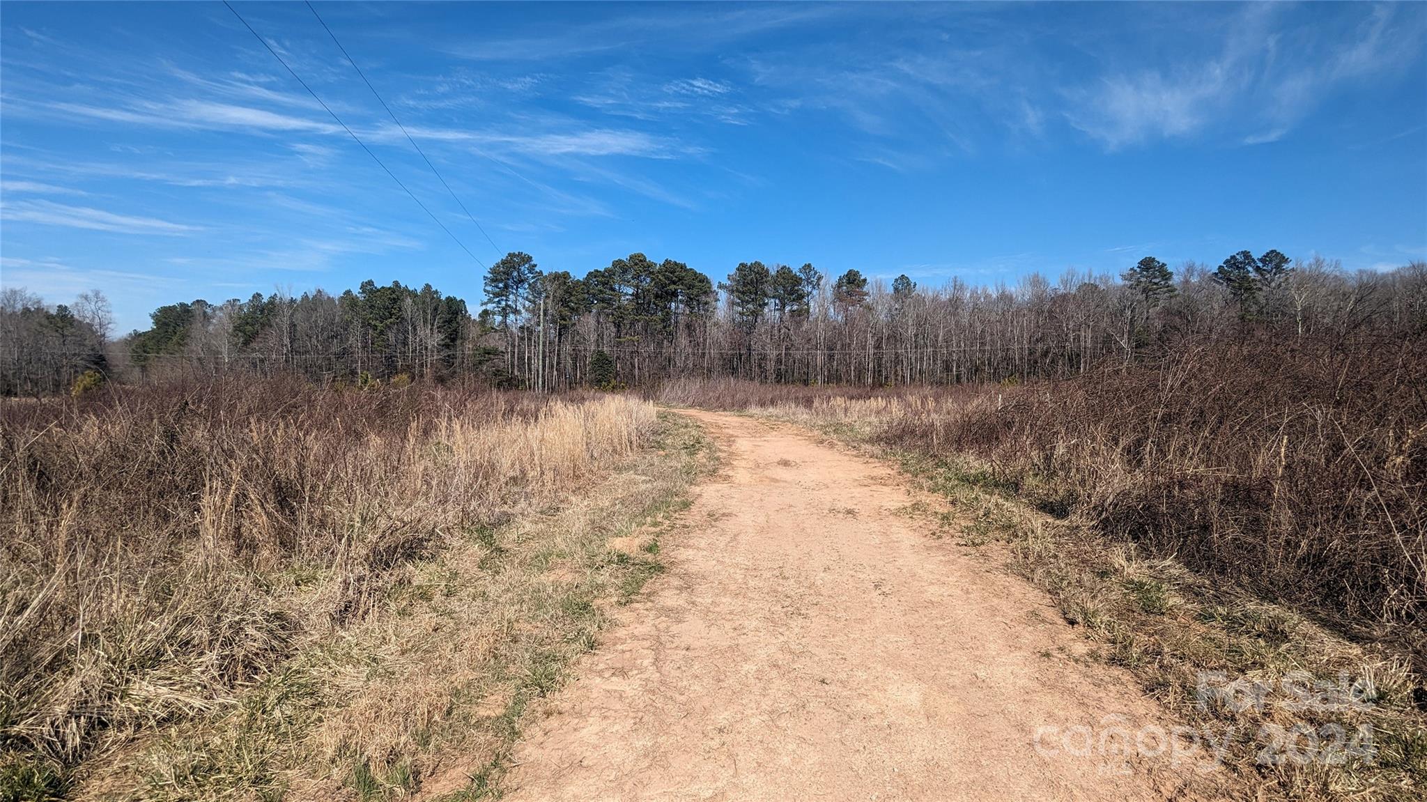 513 Jones Road Kershaw, SC 29067 - Photo 2 of 32 Gallery Image 2